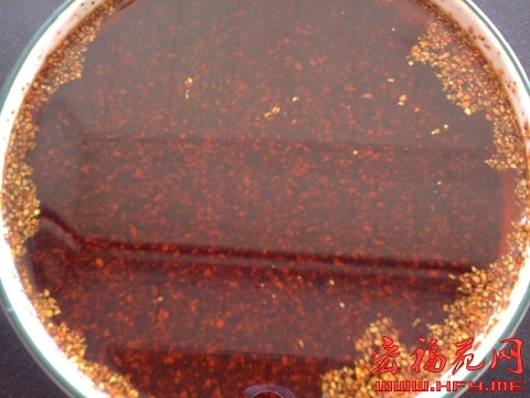 辣椒油的做法 错过了就找不到了喔